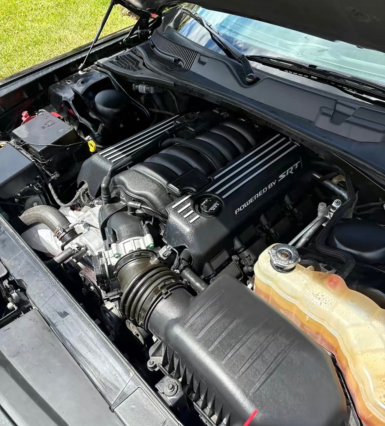 Engine Bay